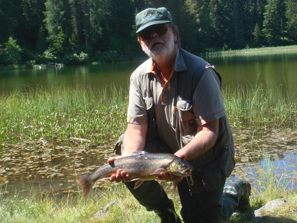 Landhaeusl Villa Weissensee Eksteriør billede